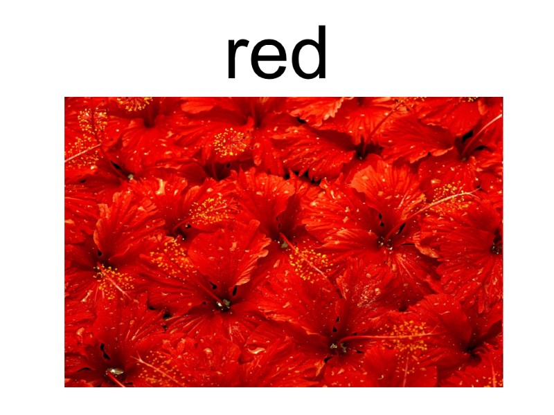 red